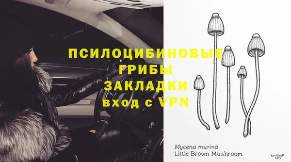 Альфа ПВП Арсеньев