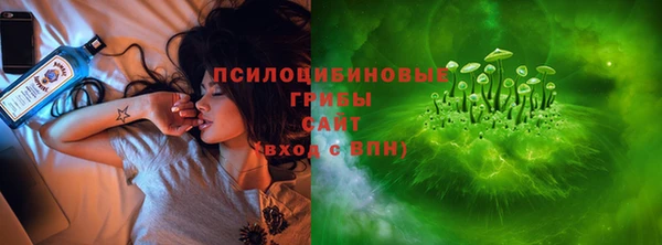 Альфа ПВП Арсеньев