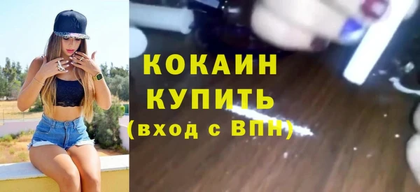 индика Армянск
