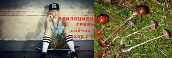 Альфа ПВП Арсеньев