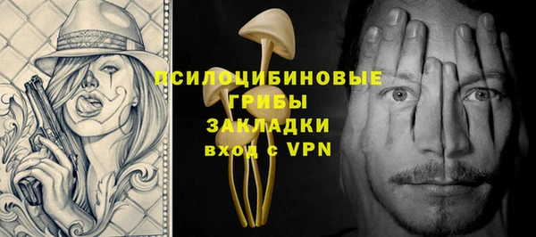 индика Армянск
