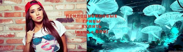 индика Армянск