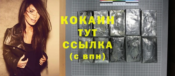 индика Армянск