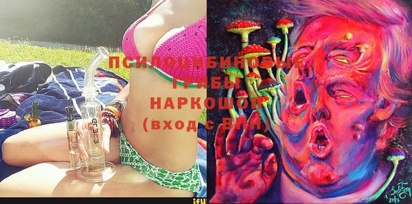 Альфа ПВП Арсеньев